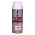 Pintura spray NOVASOL Evolution