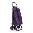 Carro  compra Big Polar 4 ruedas Rolser