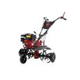 MOTOAZADA GASOLINA CAMPEON TM500 G2R "PRO-G"