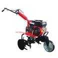 MOTOAZADA GASOLINA CAMPEON TM500 GR2.6,5 CV.80CM.196 C.C.