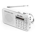 RADIO  DIGITAL FM ELBE RF-49-USB